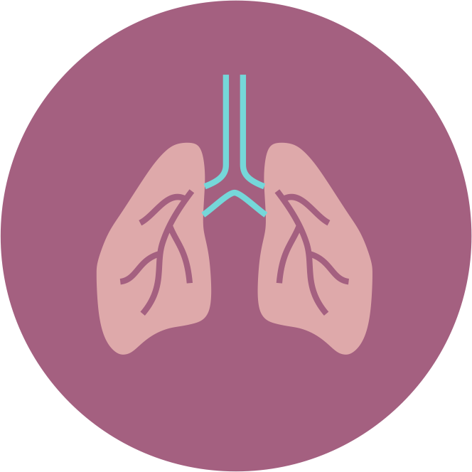 Illustration of lungs